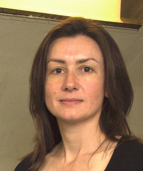 Karen E. Willcox, Principal Investigator